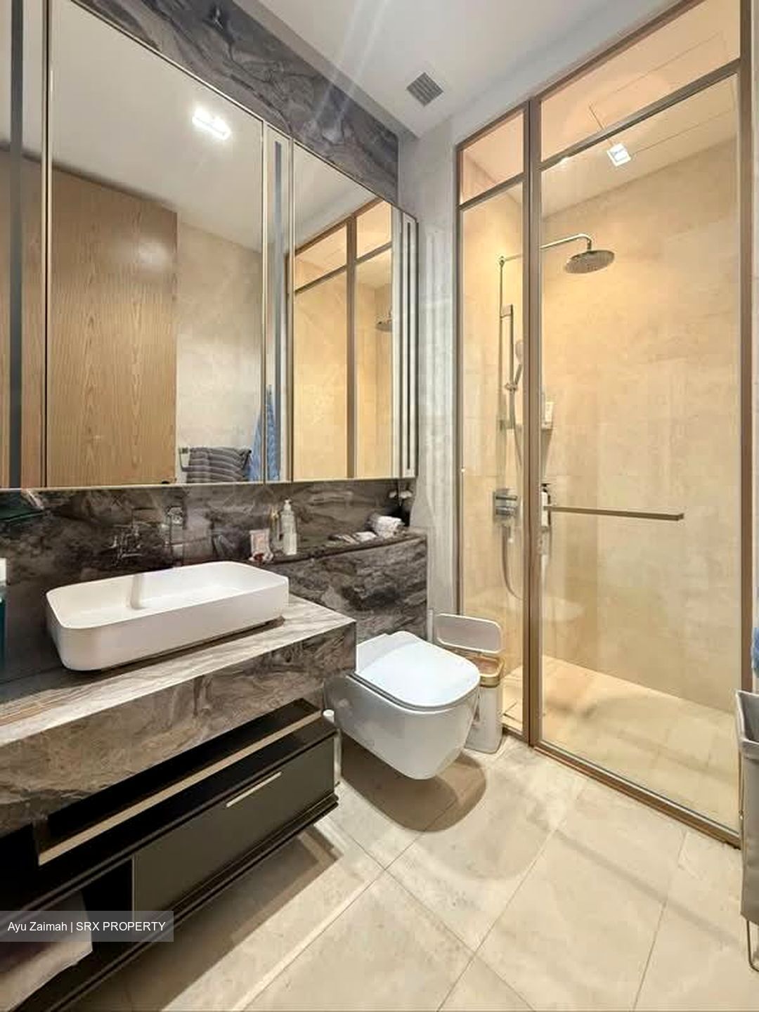 The Avenir (D9), Condominium #589886821